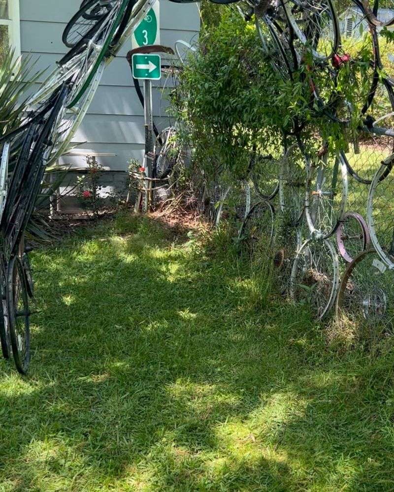 Bicycle Wheel Trellis