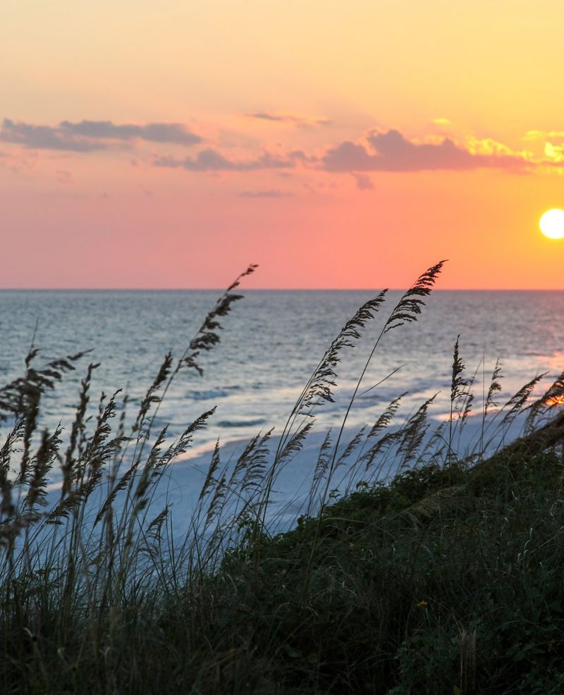 Rosemary Beach: Dune Restoration Pioneers