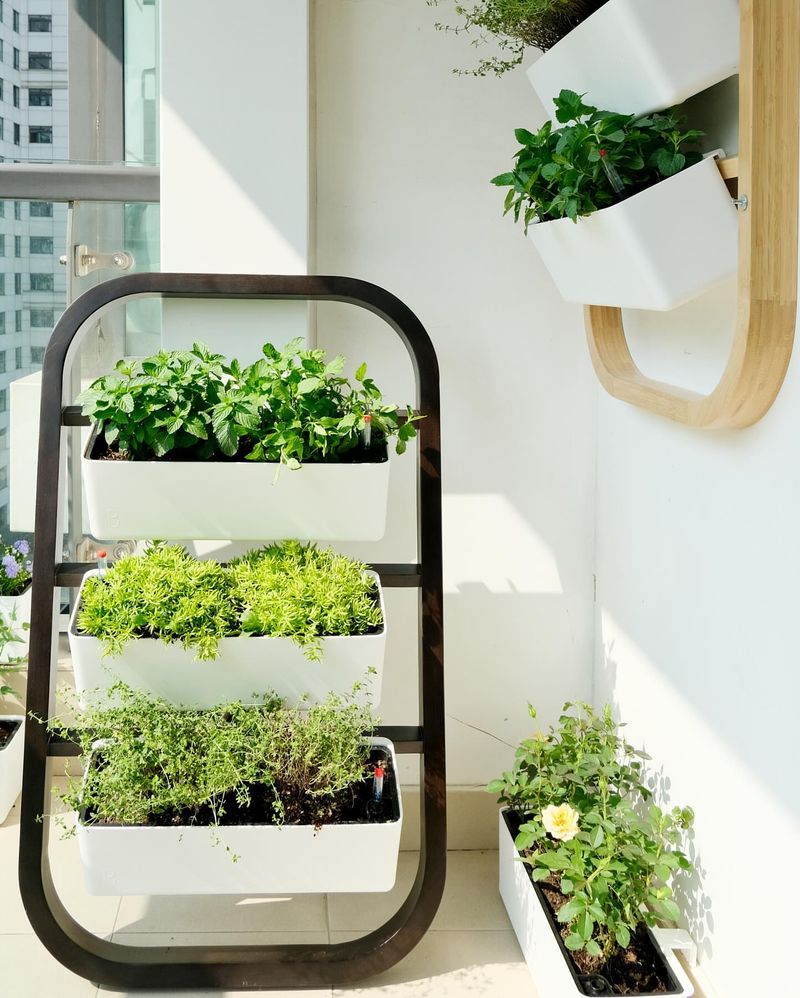 Chalkboard Planter Wall