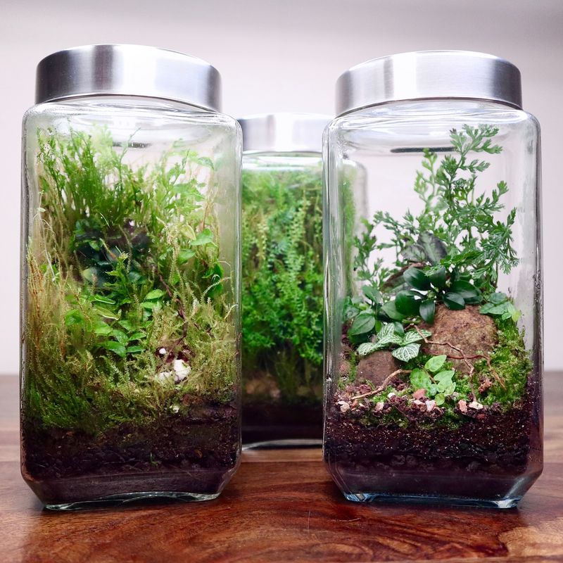Upcycled Mason Jar Living Wall