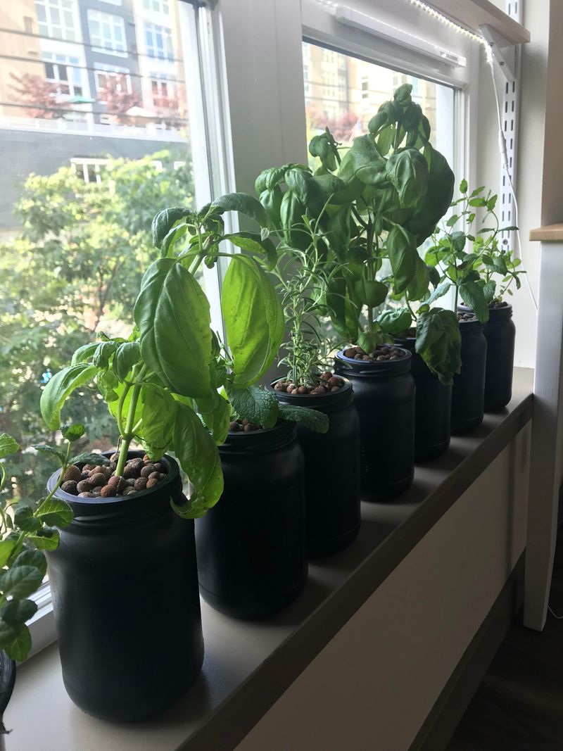 Window Nutrient Film Technique