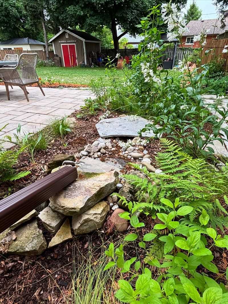 Drought-Resistant Landscaping Solution