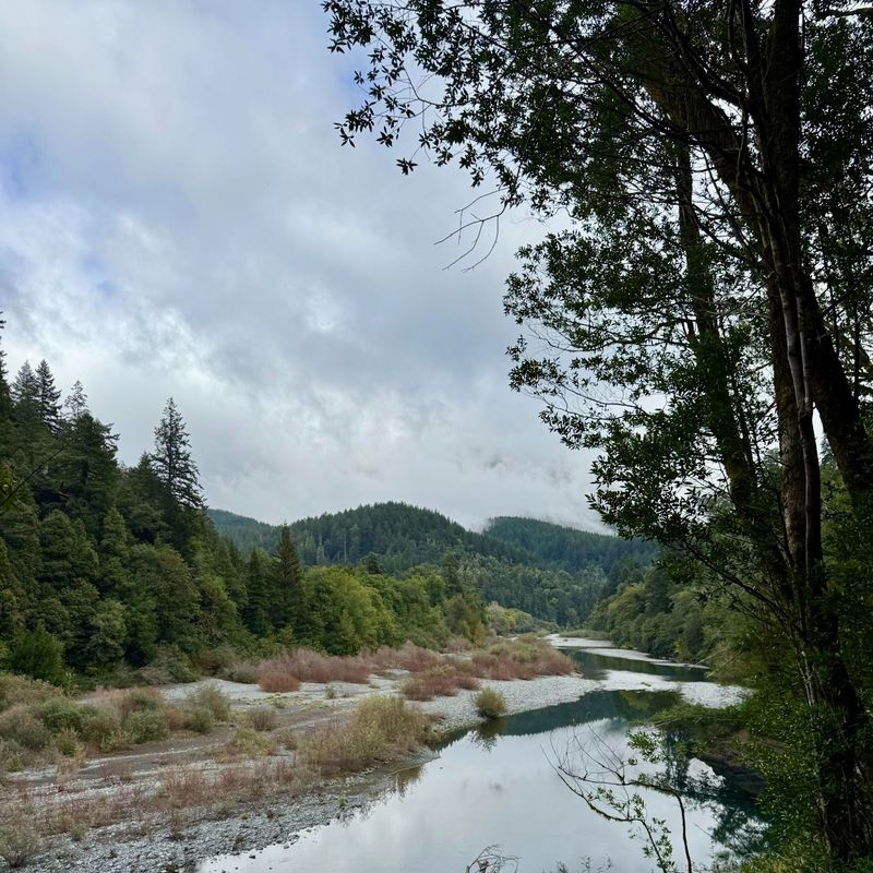 Myrtle Point's Redwood-Inspired Craftsmanship