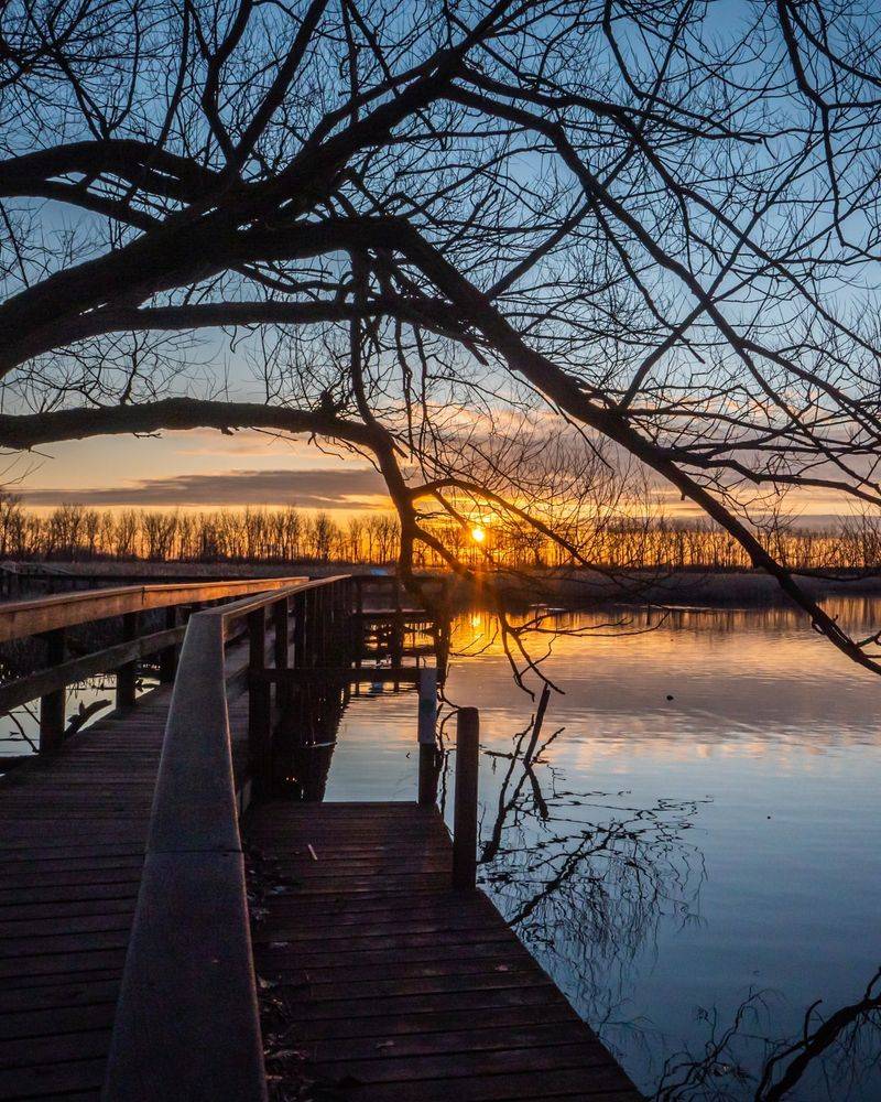 Tifft Nature Preserve