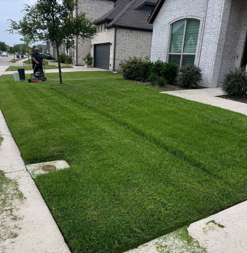 Ignoring Lawn Health
