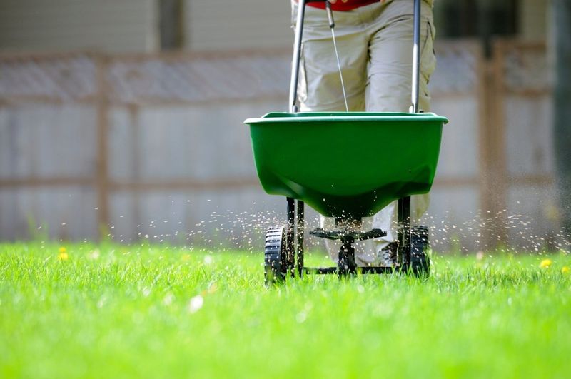 Forgetting Fertilizer Timing