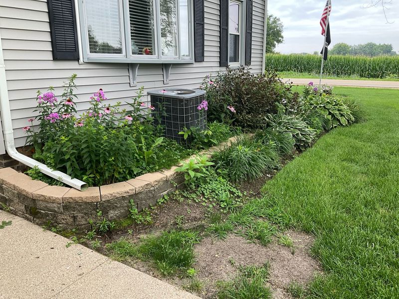 Lawn-To-Wall Syndrome