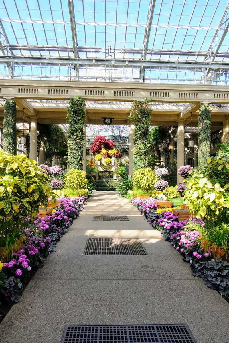 Conservatory Wonders Through Changing Seasons
