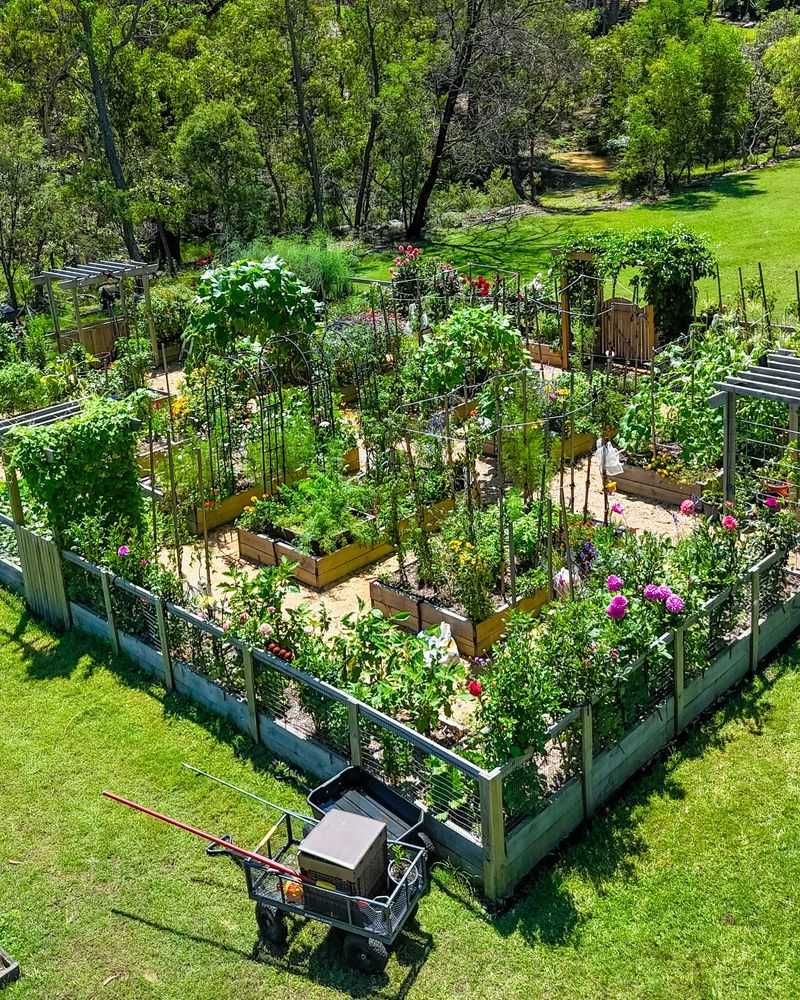 Edible Garden Enhancement