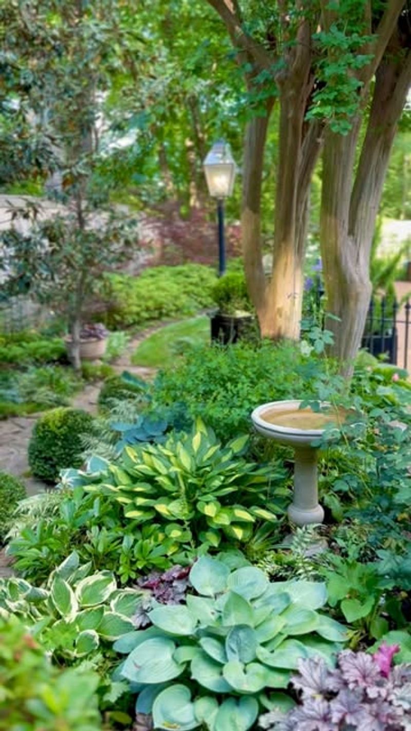Shade-Loving Foliage Bed