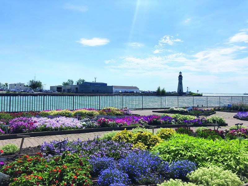 Erie Basin Marina Gardens