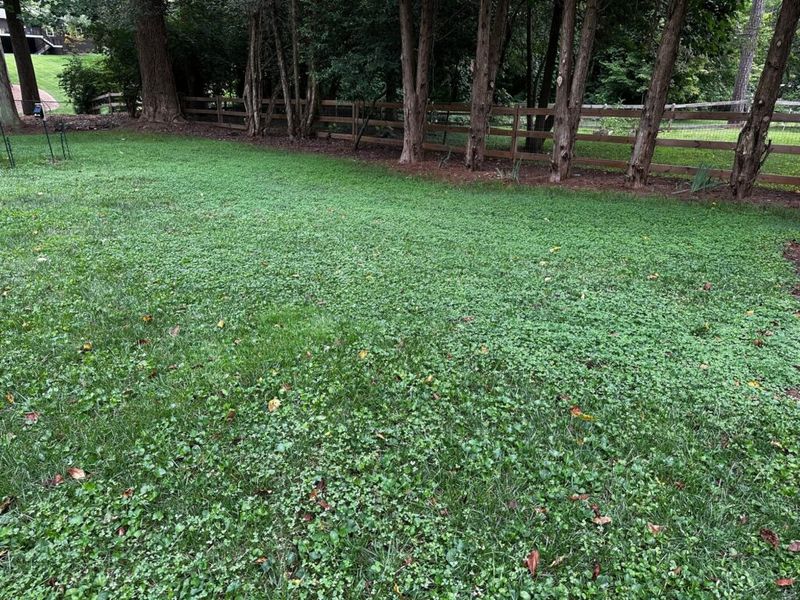Naturally Crowds Out Weeds