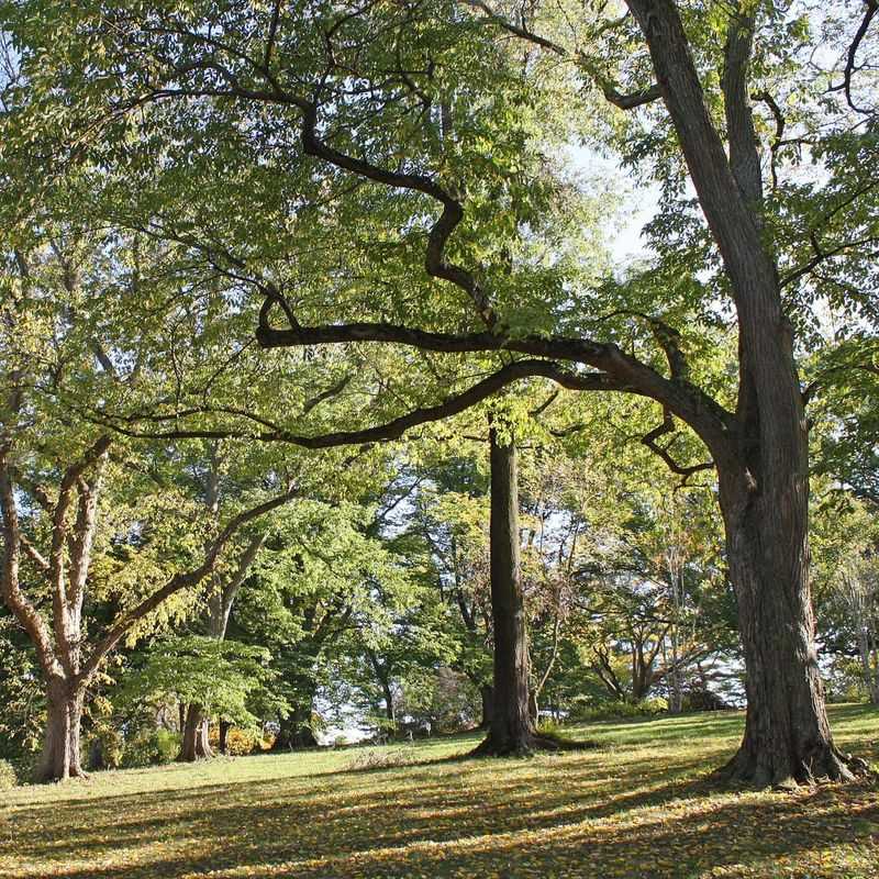 Peters Hill Offers Boston's Most Spectacular Skyline Views
