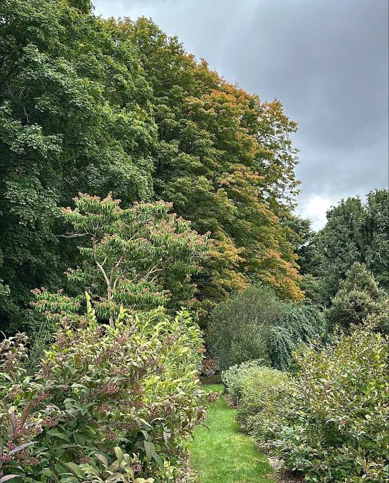 Digital Plant Database For Researchers