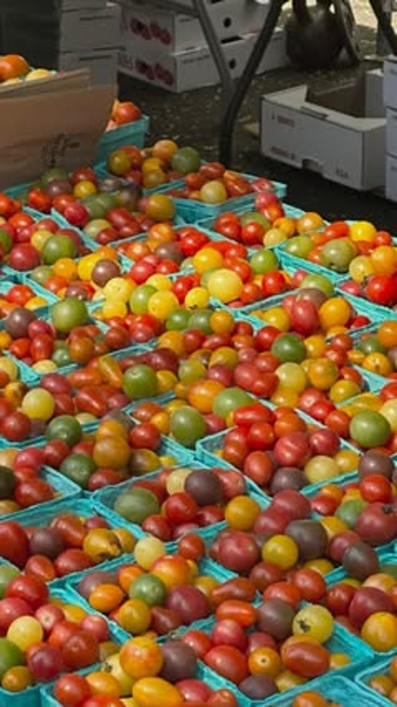 Berries That Capture New York's Growing Season