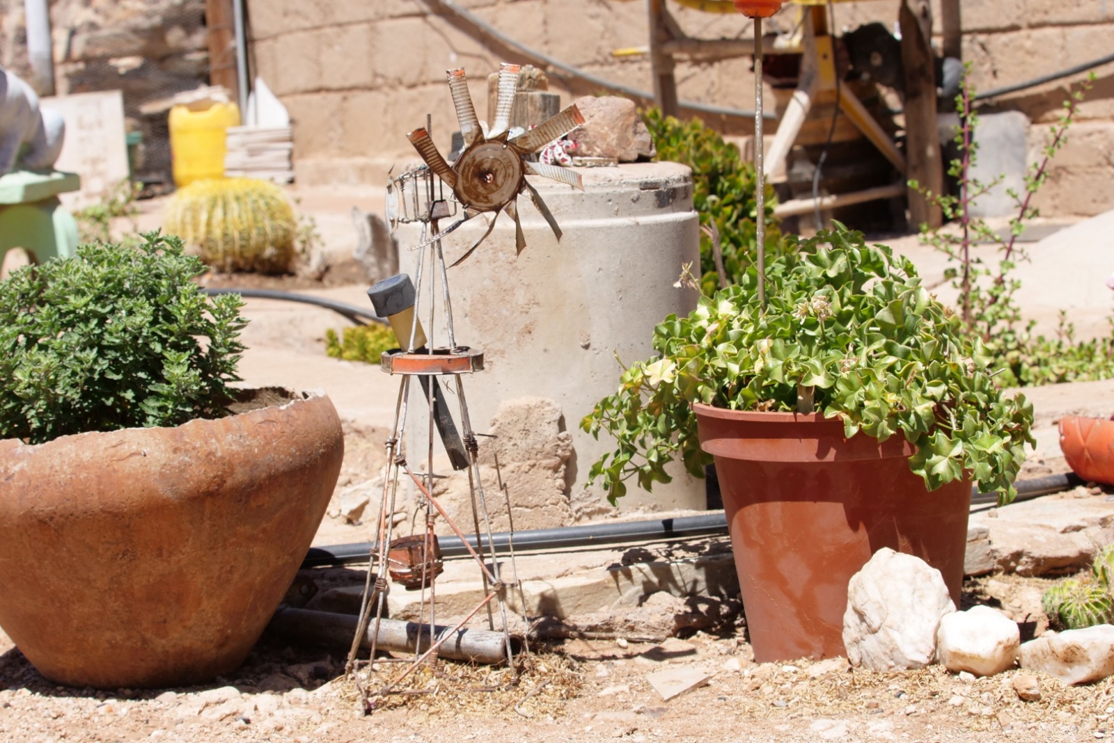 Front Yard Features That Ruin Curb Appeal In Texas Neighborhoods
