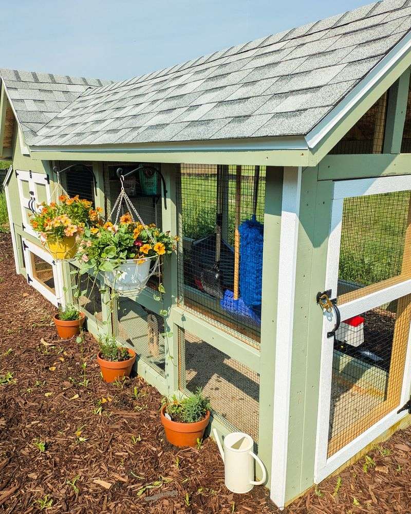 Backyard Chicken Coops
