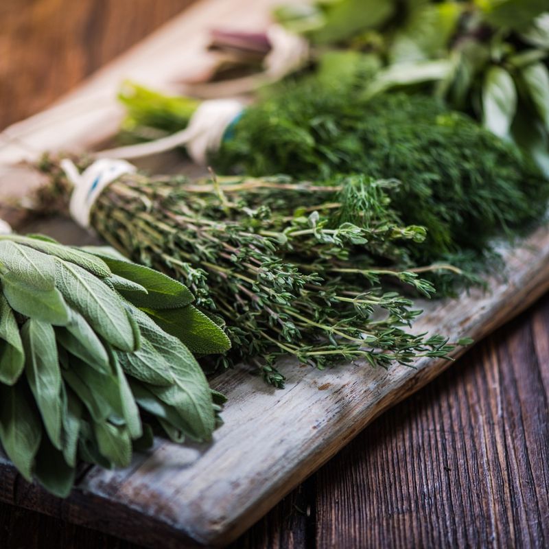 Herb Preservation