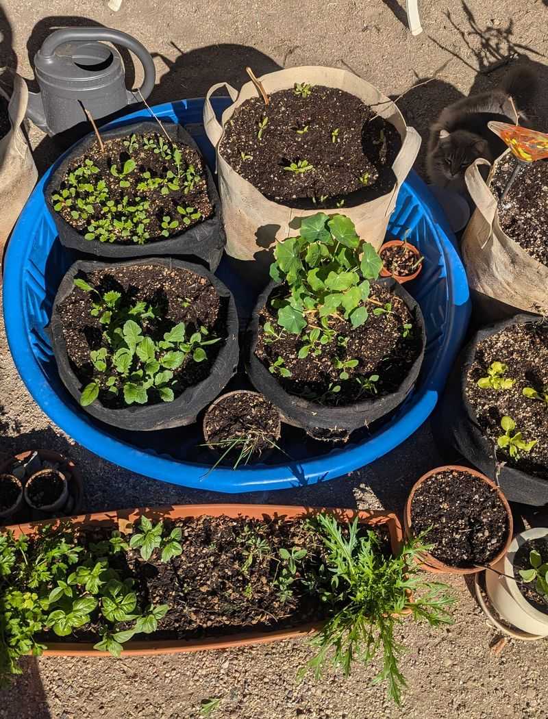 Container Adaptability