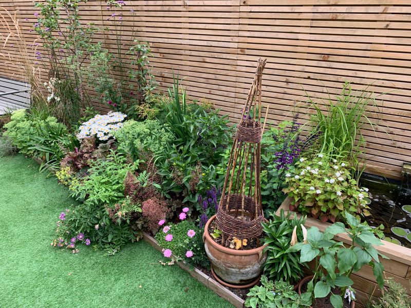 Sacrificial Border Plants
