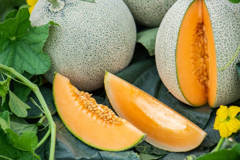 cantaloupe fruit
