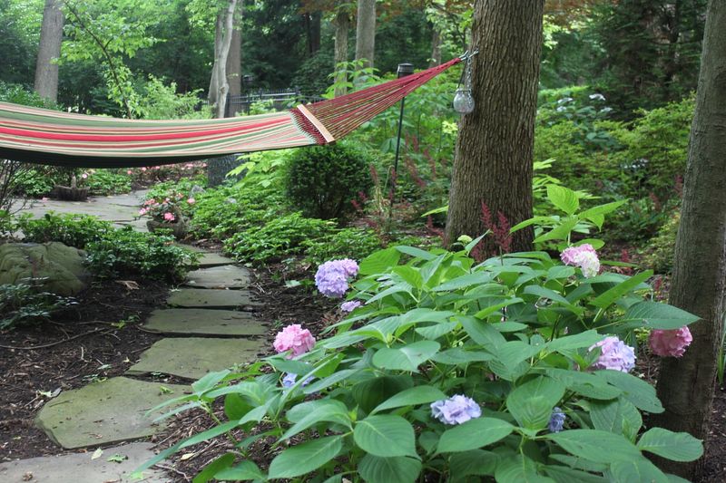 Hammock Grove Retreat