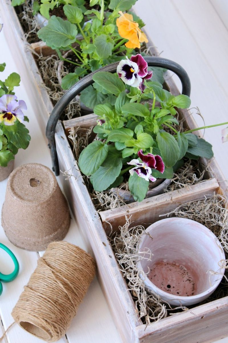 Repurposed Drawer Mini Gardens