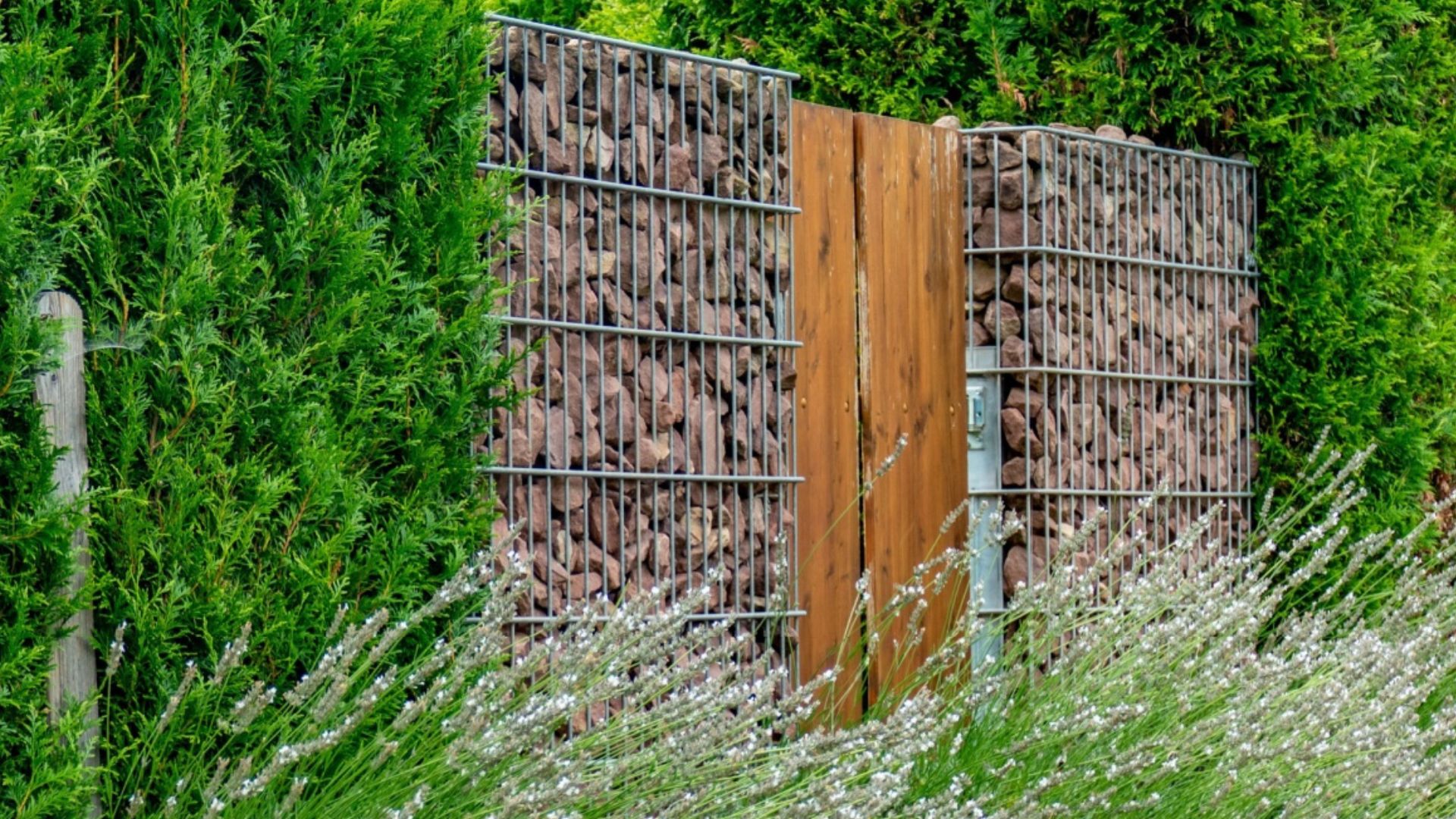 Garden Corners You Can Add For Privacy In New Mexico Yards