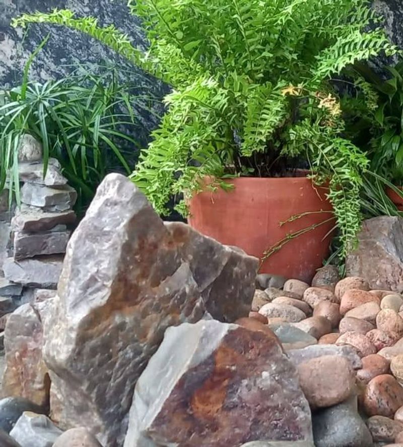 Meditation Spaces