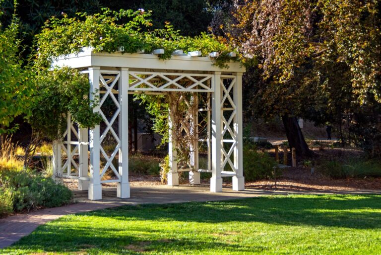 Green flowering vines growing on top of a white pergola in a garden, surrounded by greenery and a lawn.