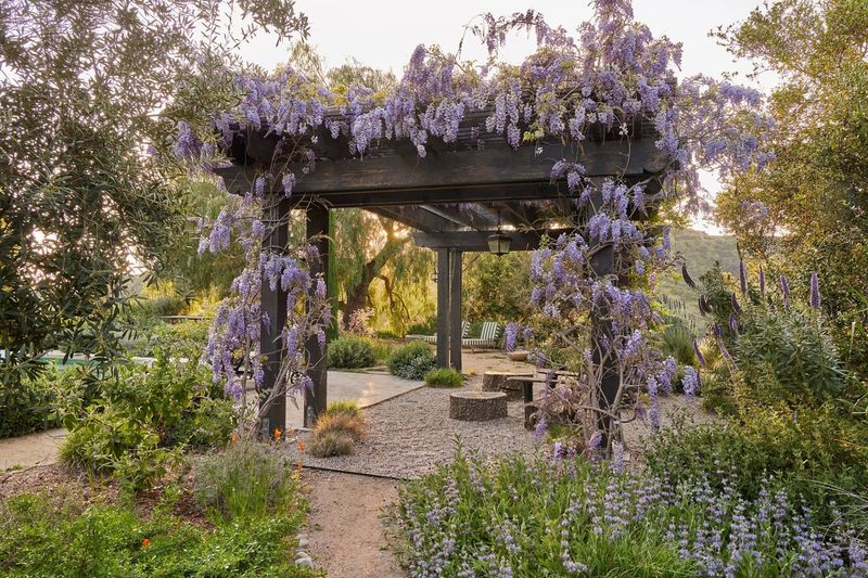 Wisteria-Draped Wooden Wonders