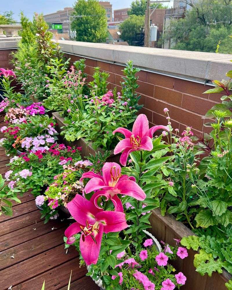 Choose The Right Planting Location