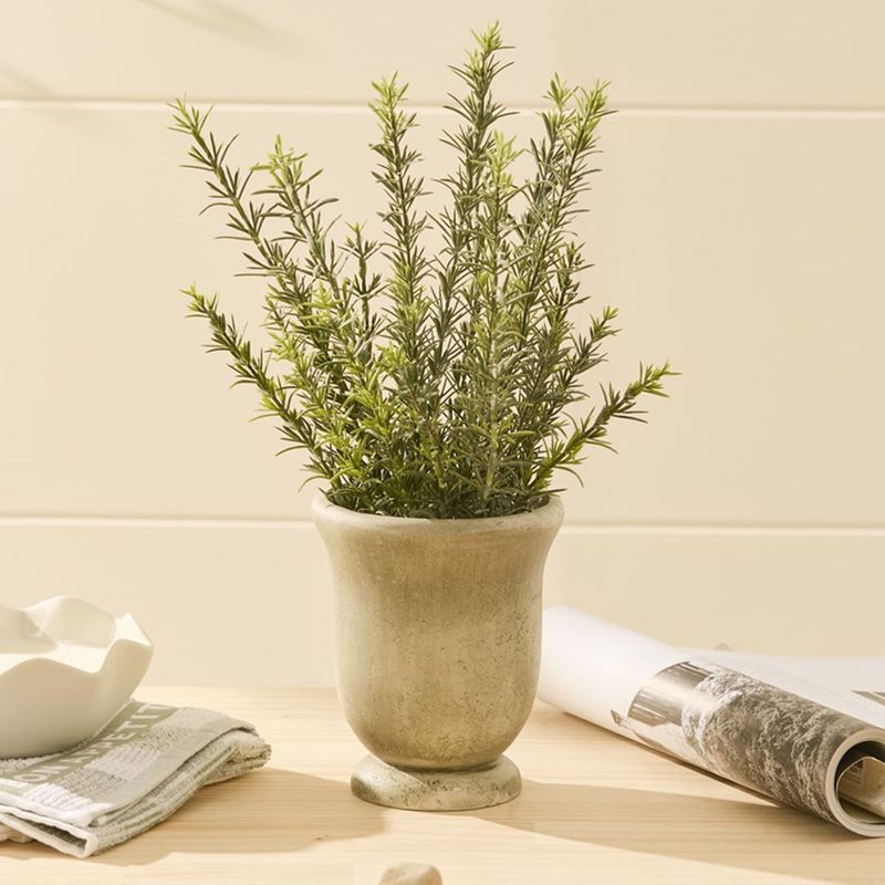 Rosemary