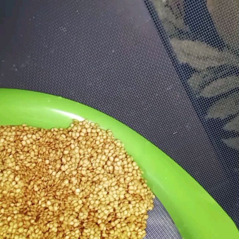 Extract Wet Seeds
