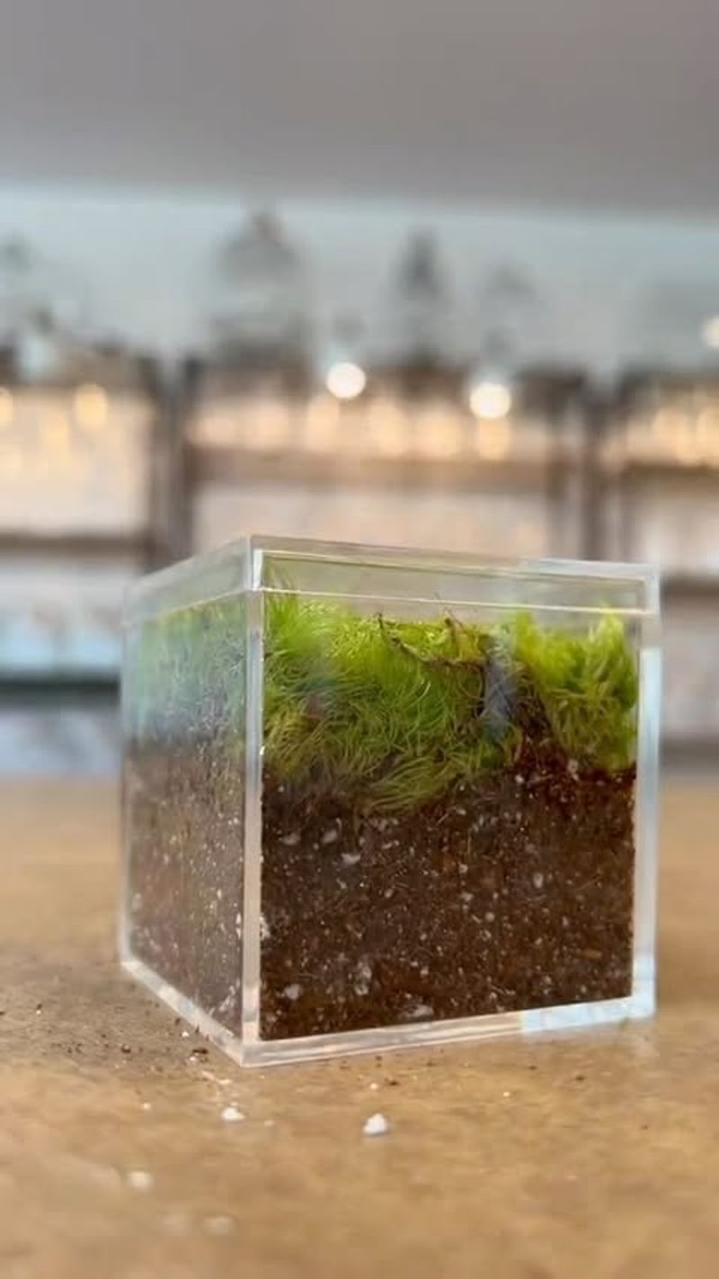 Select The Perfect Container