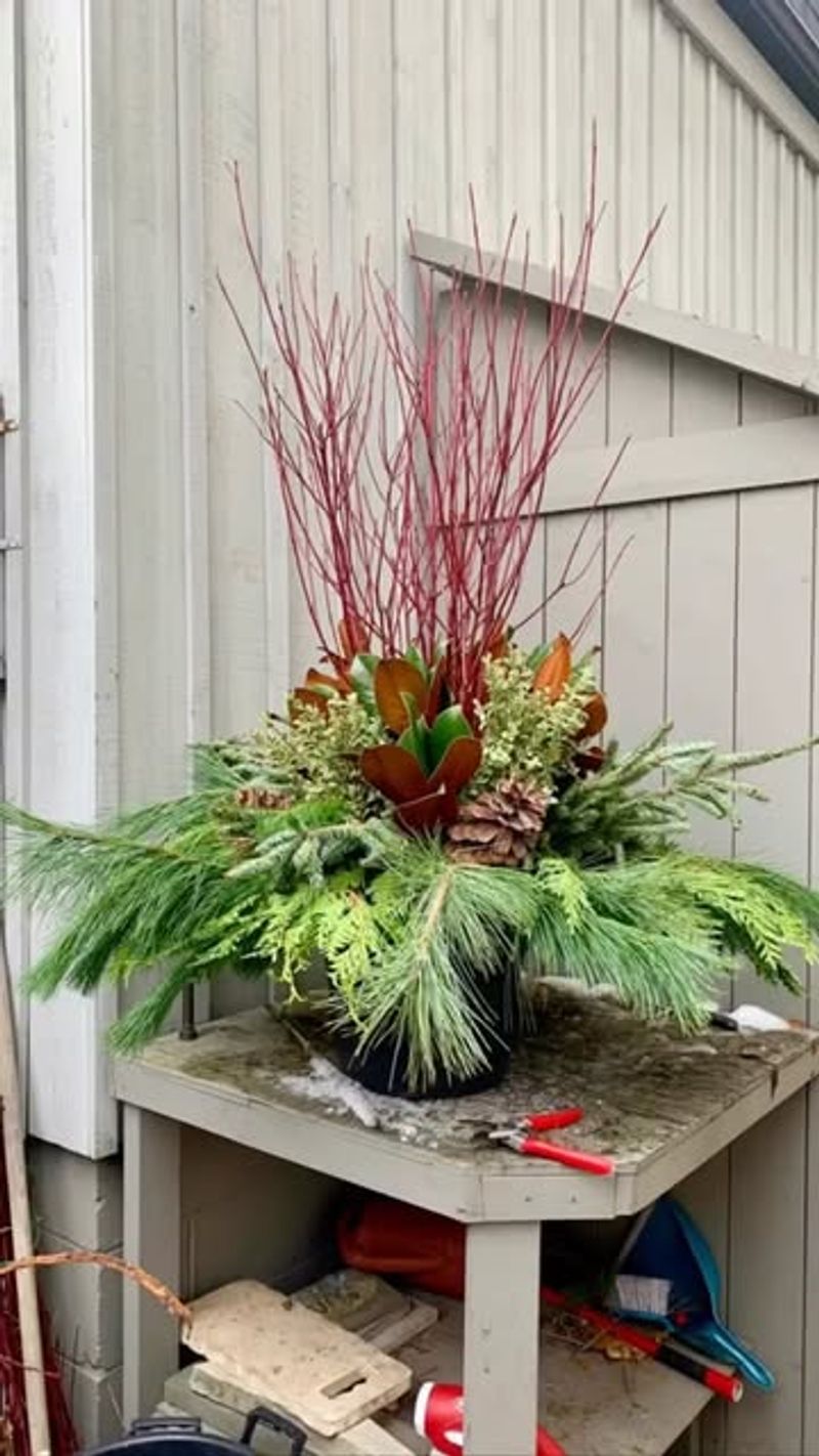 Seasonal Branch Arrangements