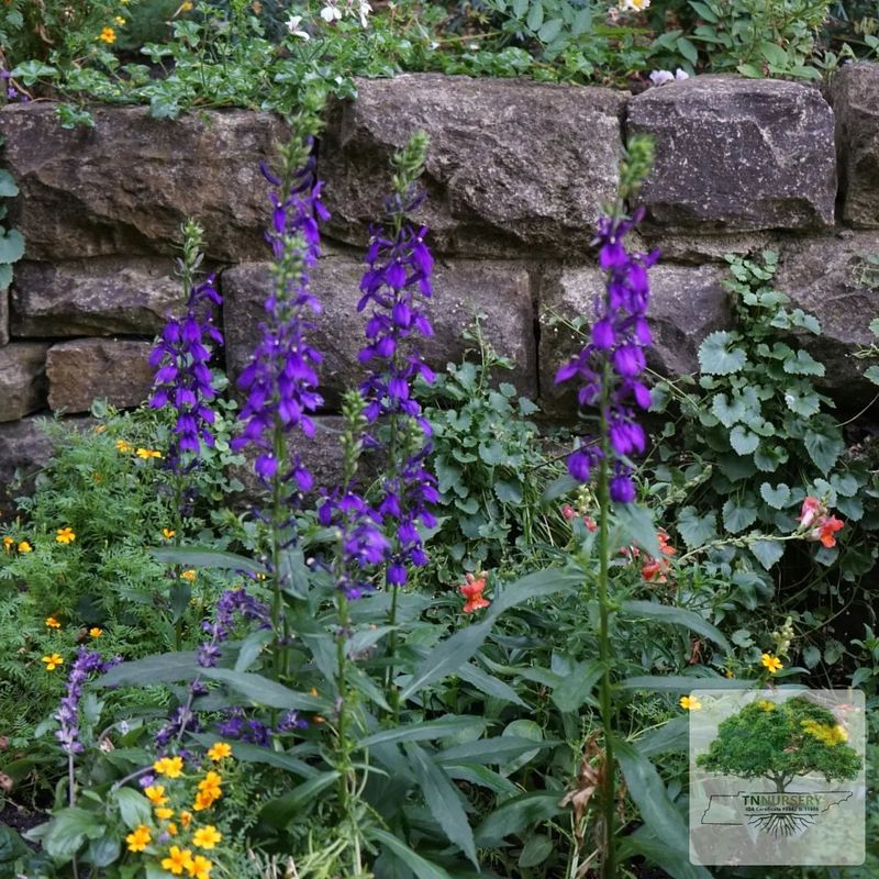 Ironweed Towers