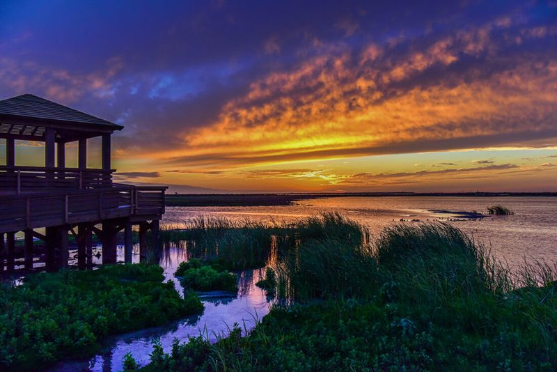 Port Aransas Pairs Beach With Blooms