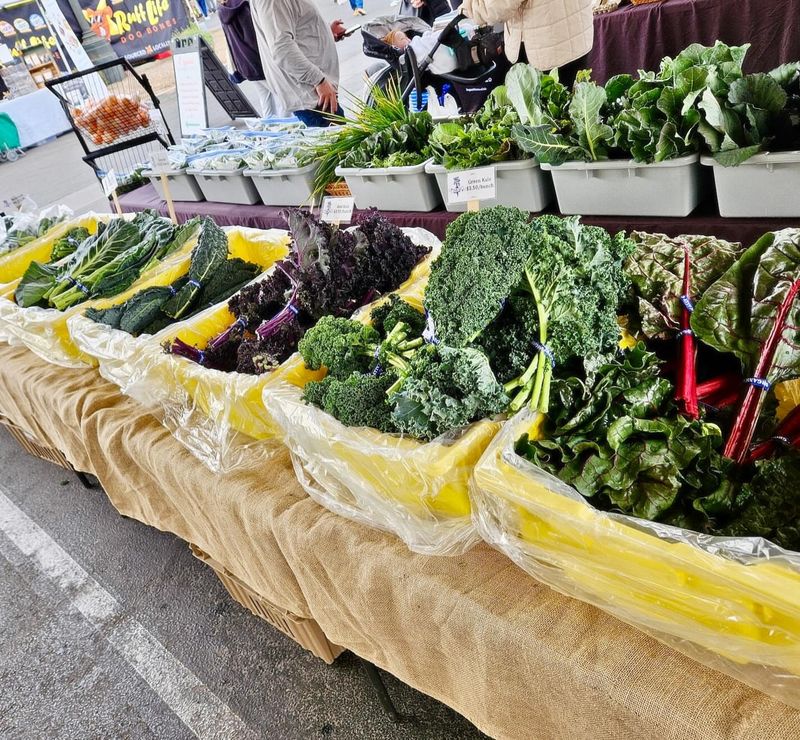 Seasonal Leafy Greens From Local Growers