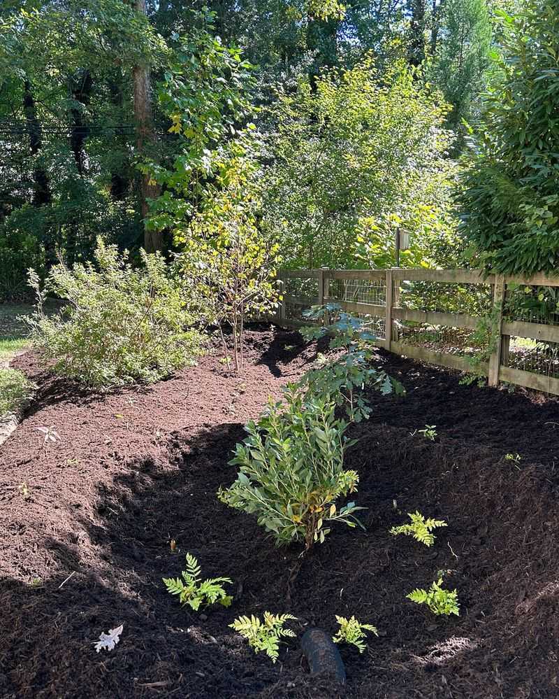 Plant Water-Loving Trees Strategically