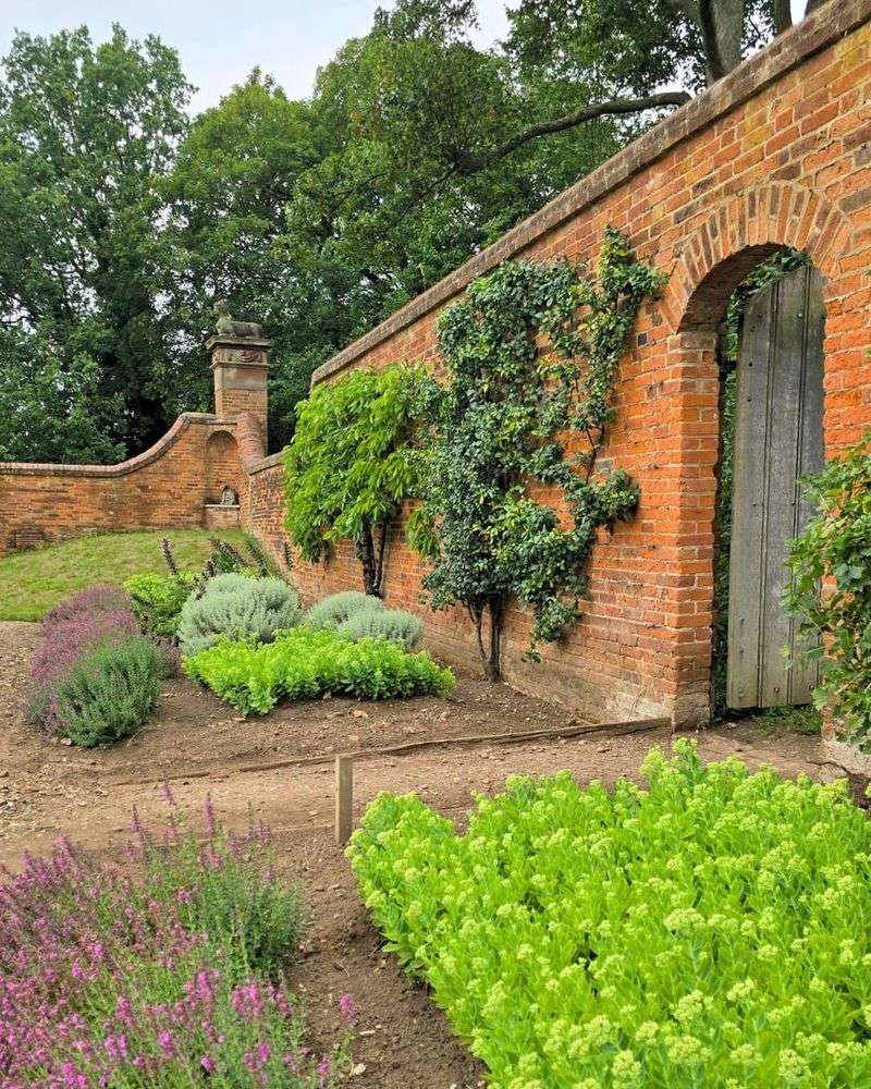 Vertical Kitchen Gardens On Historic Brick Walls