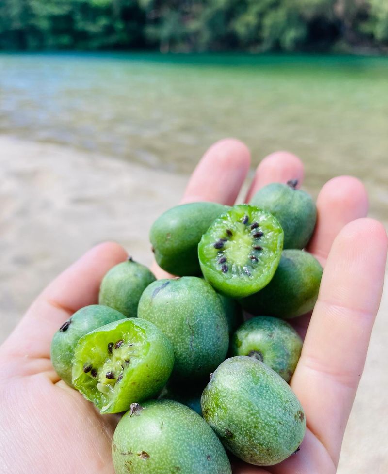 Kiwiberries