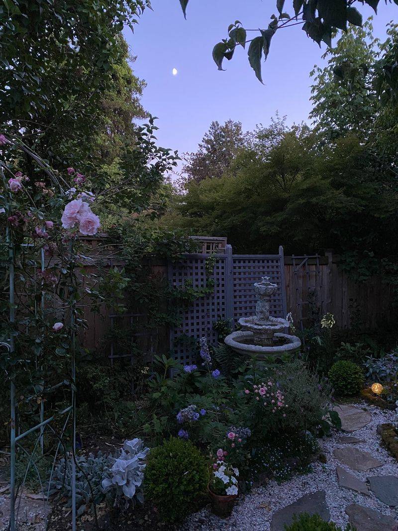 Moonlight Gardens