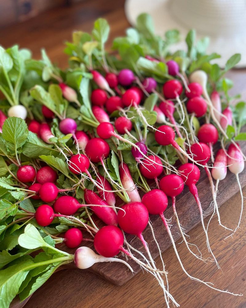 Radishes