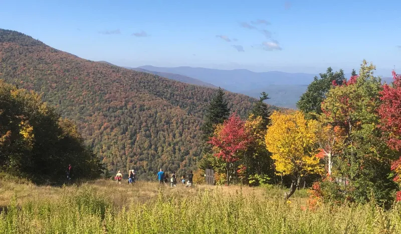 Tannersville's Mountain Meadow Displays