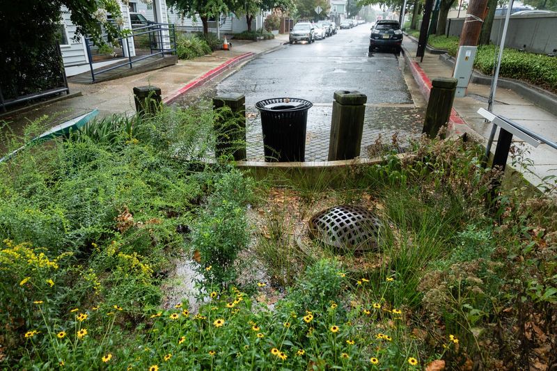 Pollution Filters For Urban Runoff