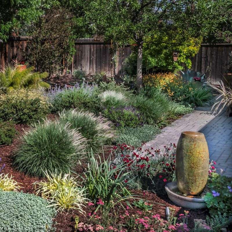 Group Plants By Water Needs