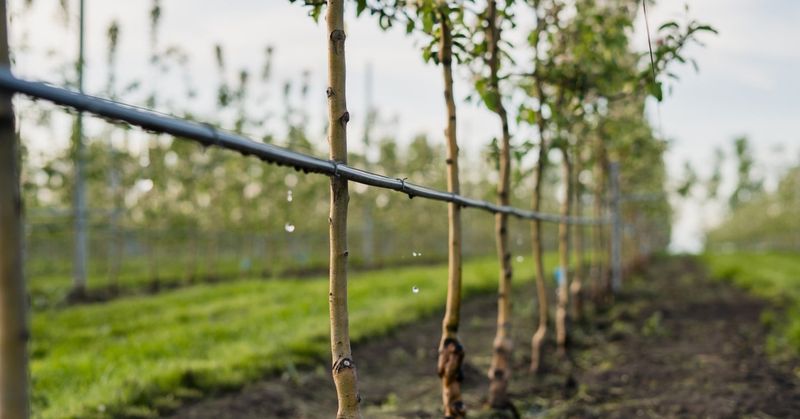 Install Smart Irrigation Systems