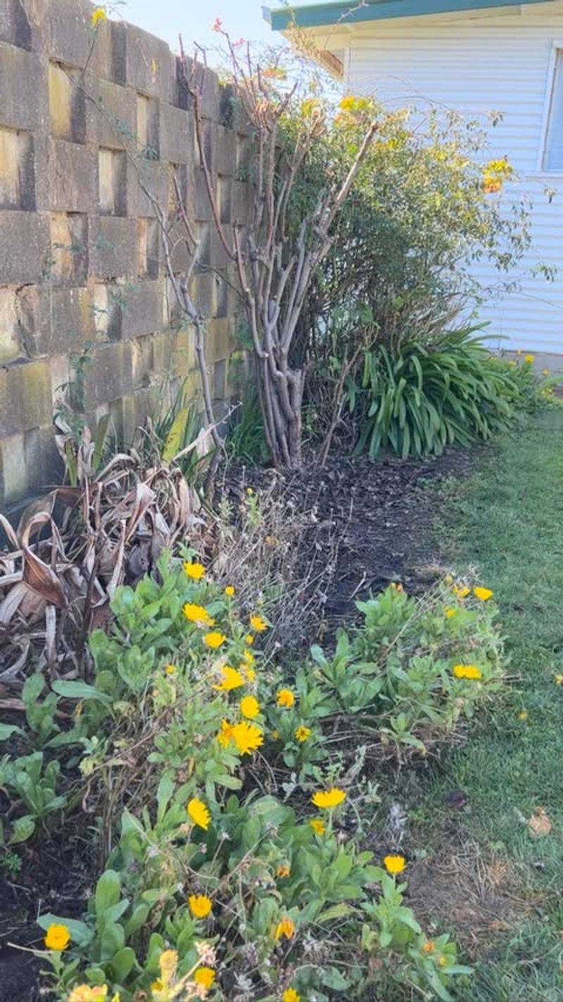 Soil Improvement