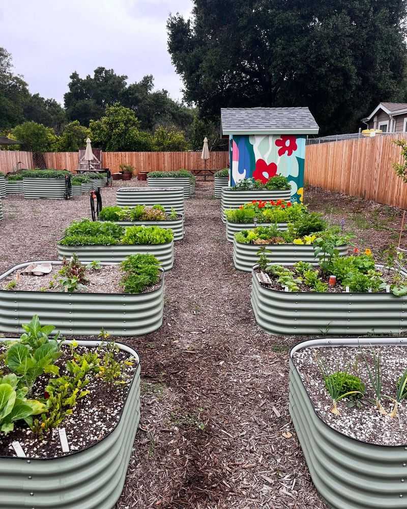Join Community Gardens